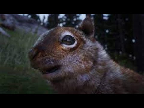 Red Dead Redemption 2 Walkthrough Part 236 "Wildlife Art Exhibiition Day 1"