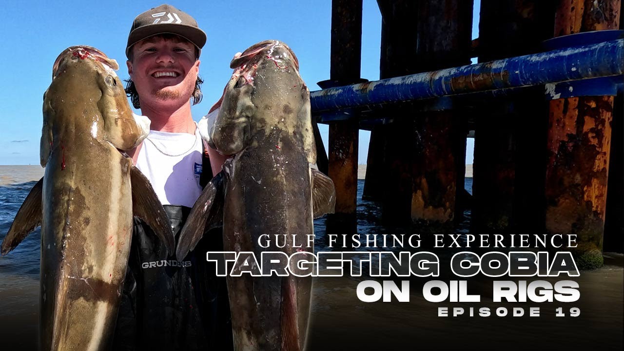 Catching Cobia in the Gulf of Mexico on Oil Rigs