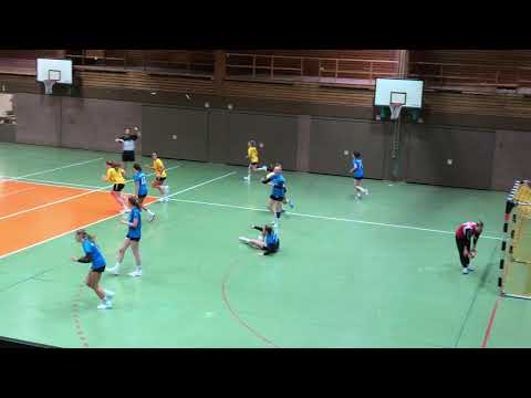 HSG Friedrichshafen Fischbach - TG Biberach Handball II (21:12)