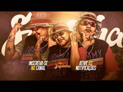 BOTADA SEM PIEDADE - MCS SAPINHA, LARI E P1 ( DJS DALMATA E DAONZE) 2022