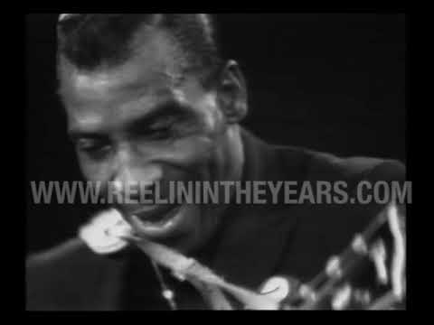 T-Bone Walker • "Stormy Monday/Why My Baby (Keep On Bothering Me)" • 1968 [RITY Archive]