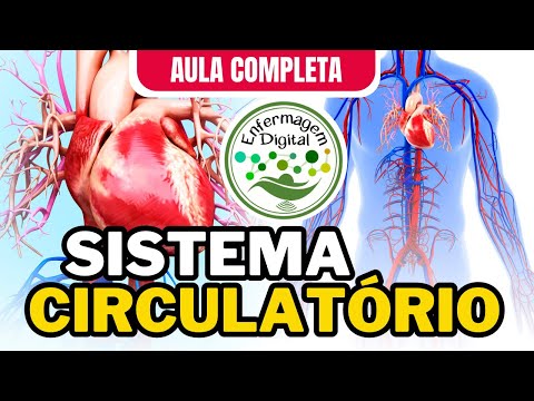SISTEMA CIRCULATÓRIO - AULA COMPLETA - SISTEMA CARDIOVASCULAR