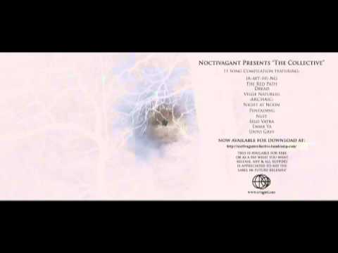 Noctivagant ~ The Collective