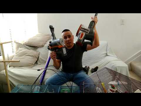 Dyson V10 Review The Best Vacuum Cleaner When You Have Parakeets Budgies & Conures Parrots