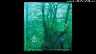 Dream Dolphin - 竹の道