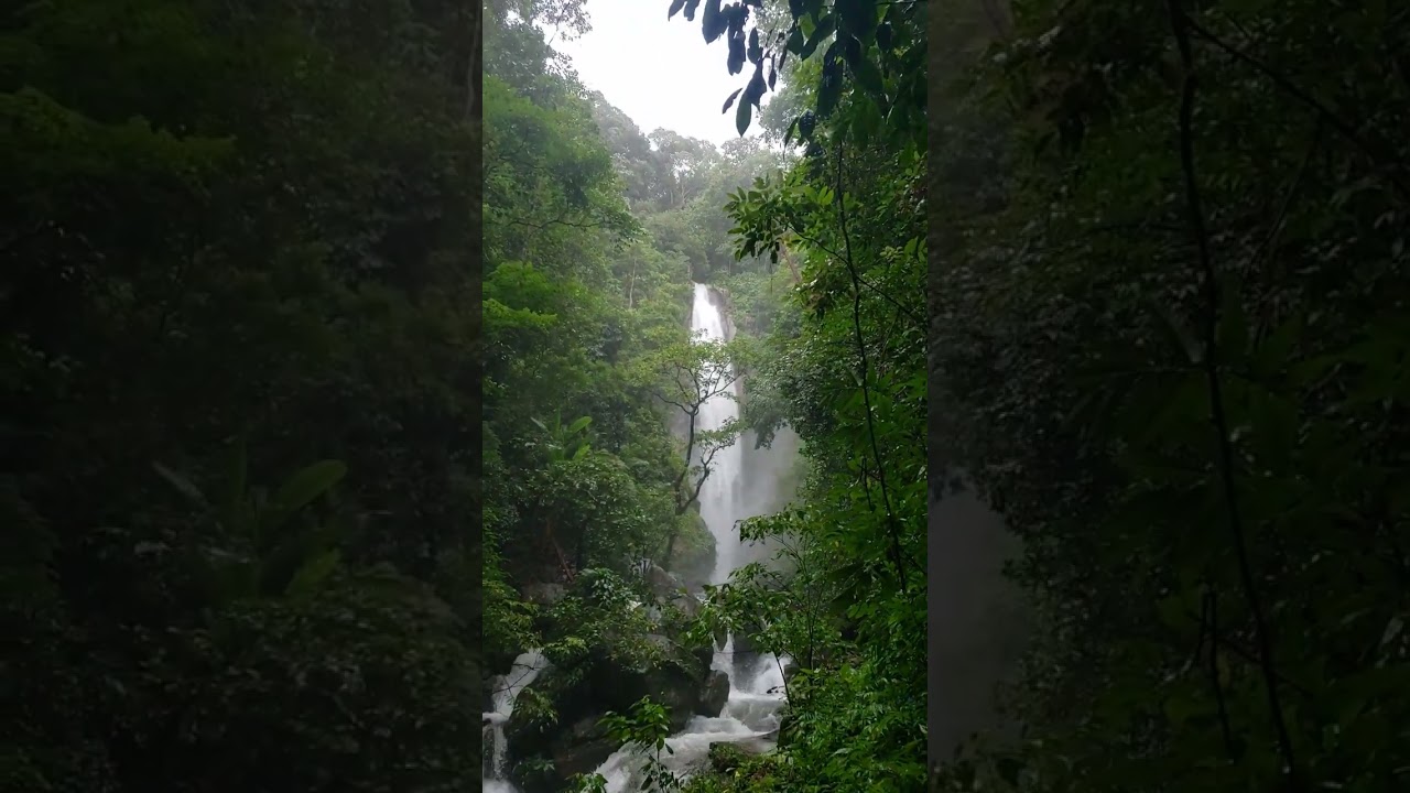 YouTube Short thumbnail