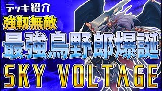 【遊戯王】デッキ紹介 SKY VOLTAGE