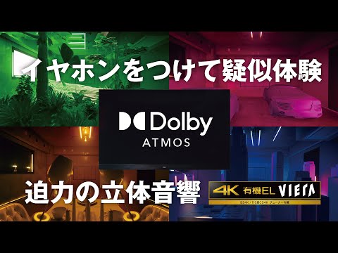 有機ELテレビ VIERA(ビエラ) TH-55JZ2000 [55V型 /Bluetooth対応 有機ELテレビ VIERA(ビエラ) TH-55JZ2000 [55V型 /Bluetooth対応