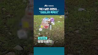 먹다 남은 라면까지…홍천 강가 쓰레기 투기 야영객 #JTBC #Shorts