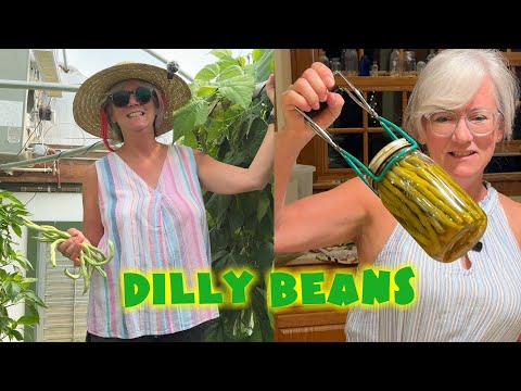 CANNING Dilly Beans the EASY WAY Nobody Tells You!