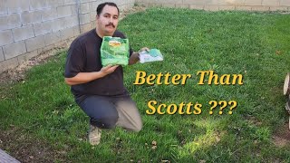 Review On Vigoro Grass Seed - DIY Lawn Guy