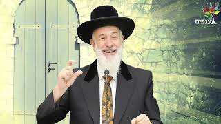 הנקודה היהודית - פרשת בלק | הרב יונה מצגר