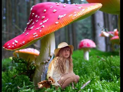 Hybrid - If I Survive (Breakbeat) 432Hz HQ