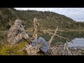 Hunting Bears And Catching King Salmon From Homer Alaska