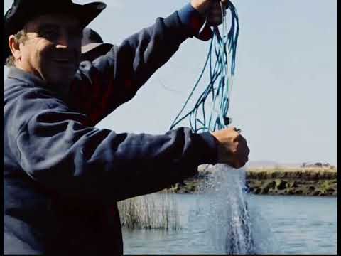 Los Naufragos Aventé pesca en rl Arroyo Solis Grande. Canelones Uruguay. Tu like para mas capítulos!
