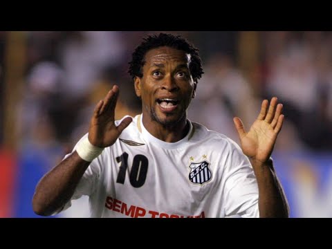 TODOS OS 12 GOLS DE ZÉ ROBERTO PELO SANTOS
