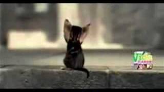 Moby - Dream About Me - Subtitulado Español