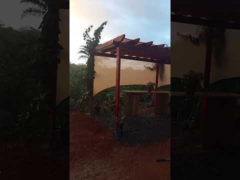 chuva no pergolado #chacras #plantas #pergolado #flores #casanaroça