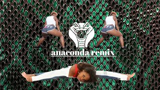 Anaconda Remix - chriskellymusic