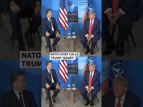 Who's the Daddy? Rutte raises eyebrows with new Trump nickname | AFP #shorts