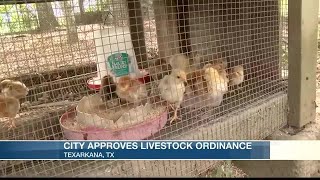 Texarkana, Texas approves livestock ordinance