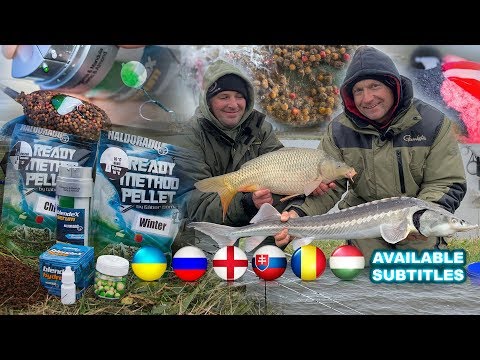 Döme Gábor - Hideg vízi pontyhorgászat feederrel 22. rész - "Ready" megoldások lehűlt vizekben