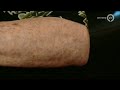 GLD Nieuws 20 juni 2014