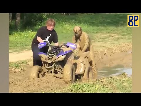 TRY NOT TO LAUGH WATCHING FUNNY FAILS VIDEOS 2022 #214