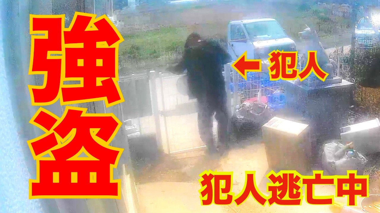 強盗事件！犯人逃走中