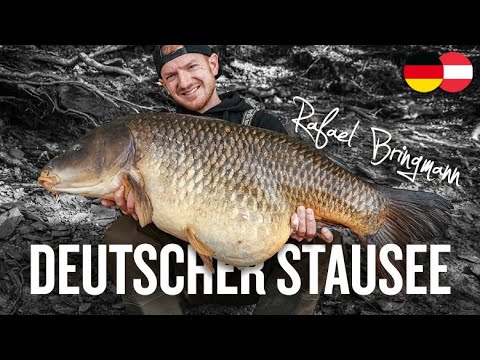 Karpfenangeln am deutschen Stausee mit Rafael Bringmann | Lowstock | 500 Hektar | Taktik | Rigs