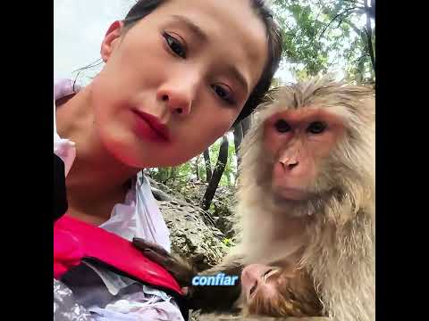 No podía acercarse al bebé mono… hasta que llegó ese día ❤️🐒