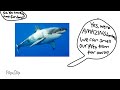 Meet The Animals E1 Great White Shark