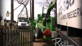 preview picture of video 'Birmingham PA Tree Removal Services 888-918-6745  Rick's Tree Service'