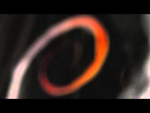 Stephan Hinz & Philipp Ruhmhardt - Hak