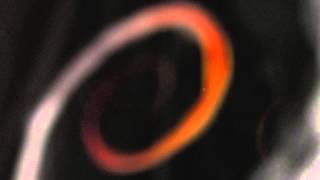 Stephan Hinz & Philipp Ruhmhardt - Hak