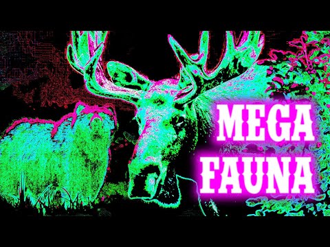 Megafauna (w/ Cam Strong, Alex Beeken, and Emily Pineapple) | World's Hottest Goss