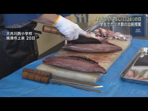 YouTube Video 11月24日の「いいふしの日」を前に、静岡・焼津市では小学生を対象にした鰹節の出前授業が行われる