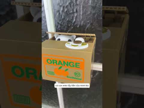 Khi Vào Phòng Ngủ Mà Cũng Mất Tiền