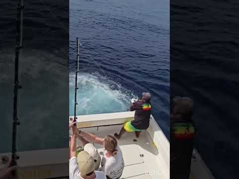 18/08 – 3 Blauwe Marlijnen Gevangen & gereleased! - Cavalier & Blue Marlin Sport Fishing Gran Canaria