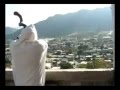 Shabbat Shalom - שבת שלום 