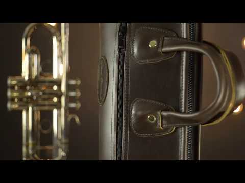 Trumpet Gig Bag - Single Trumpet - Leather - Glenn Cronkhite image 6