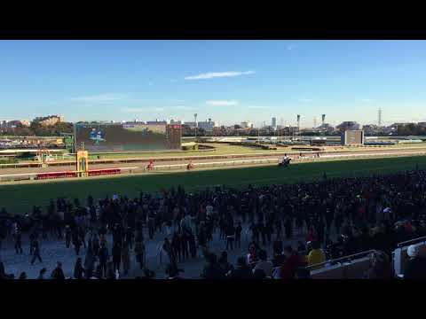 2017年ホープフルＳ本馬場入場【現地撮影】