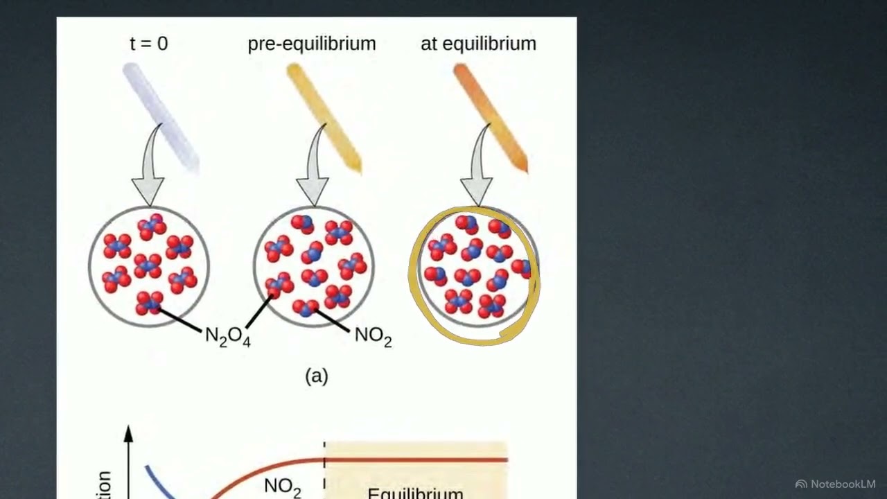Chemical Equilibria