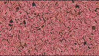 LA FEMME RESSORT - LA FEMME - VISUALIZER