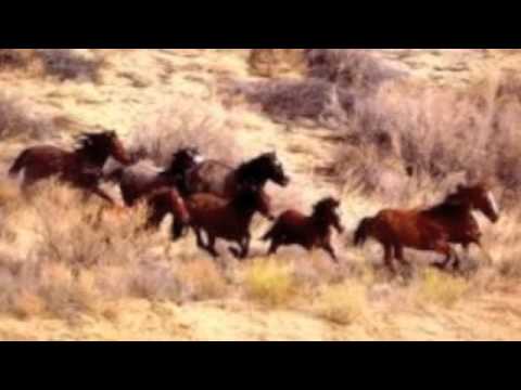 Sharon Stone-Women on the Frontlines Extreme 2011 Track 4