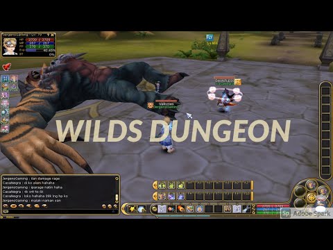Flyff Playpark Hunting Beast King Khan inside the Wilds Dungeon with company l Jergens Gaming