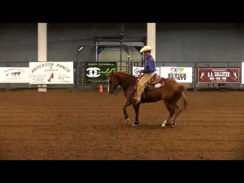 Smart Little Dell - Christian Bauschard - NRHA Rookie, IRHA Heber 2015