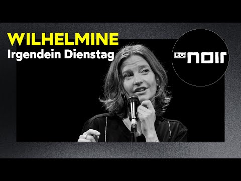 Wilhelmine – Irgendein Dienstag (live bei TV Noir)