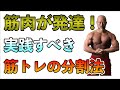 【筋トレ分割法】がむしゃらにやると効率が悪い!部位を分けて効率的に筋トレする方法とは?