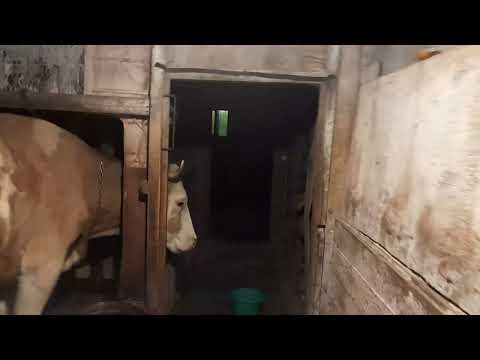 ПОДЬЕМ.УБОРКА  В НОЧИ.ЗАВТРАК.